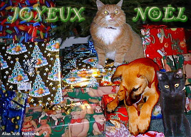 noel